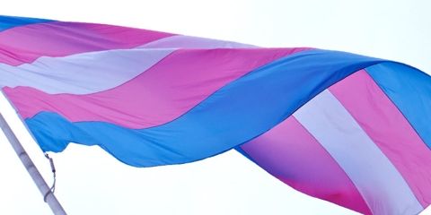 Transgender Health Protections are Safe Again. For Now.